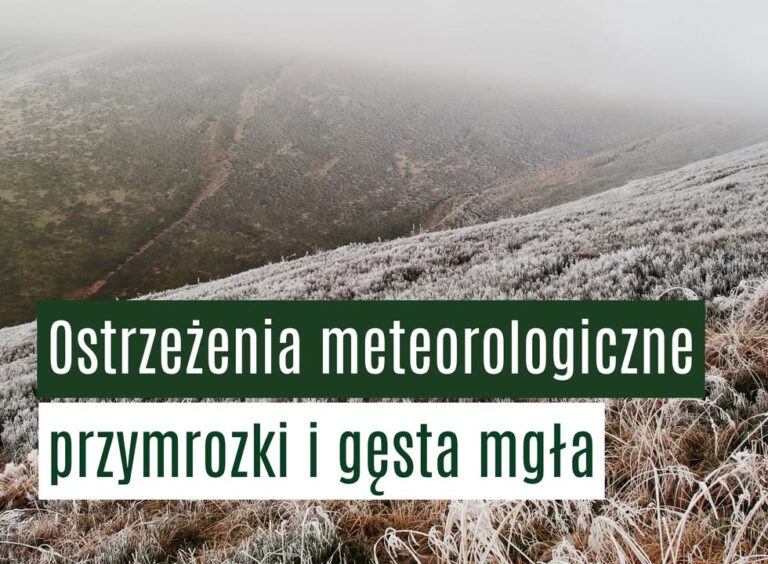 Ostrzeżenie meteorologiczne: przymrozki i gęsta mgła w regionie