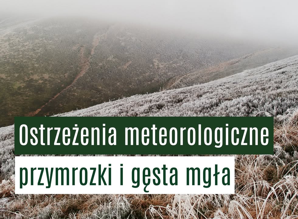 Ostrzeżenie meteorologiczne: przymrozki i gęsta mgła w regionie