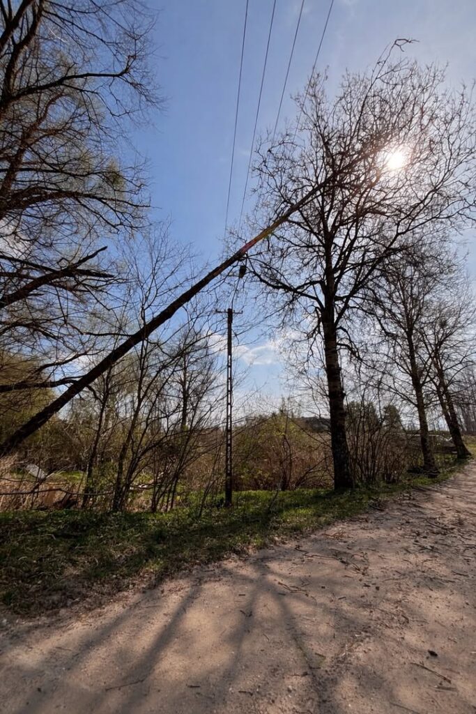 Interwencja OSP w Miecznikach: Wiatrołom zagrażał drogowcom