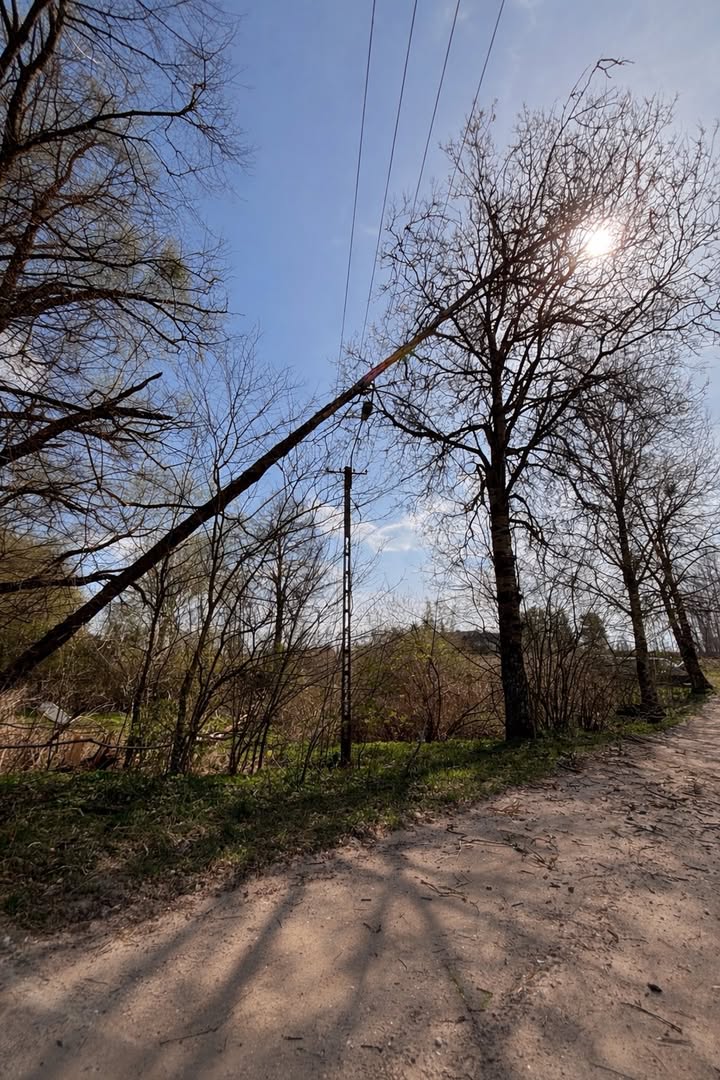 Interwencja OSP w Miecznikach: Wiatrołom zagrażał drogowcom