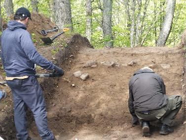 Badania archeologiczne w Konikowie – ekipa z Muzeum odsłania wał grodziska
