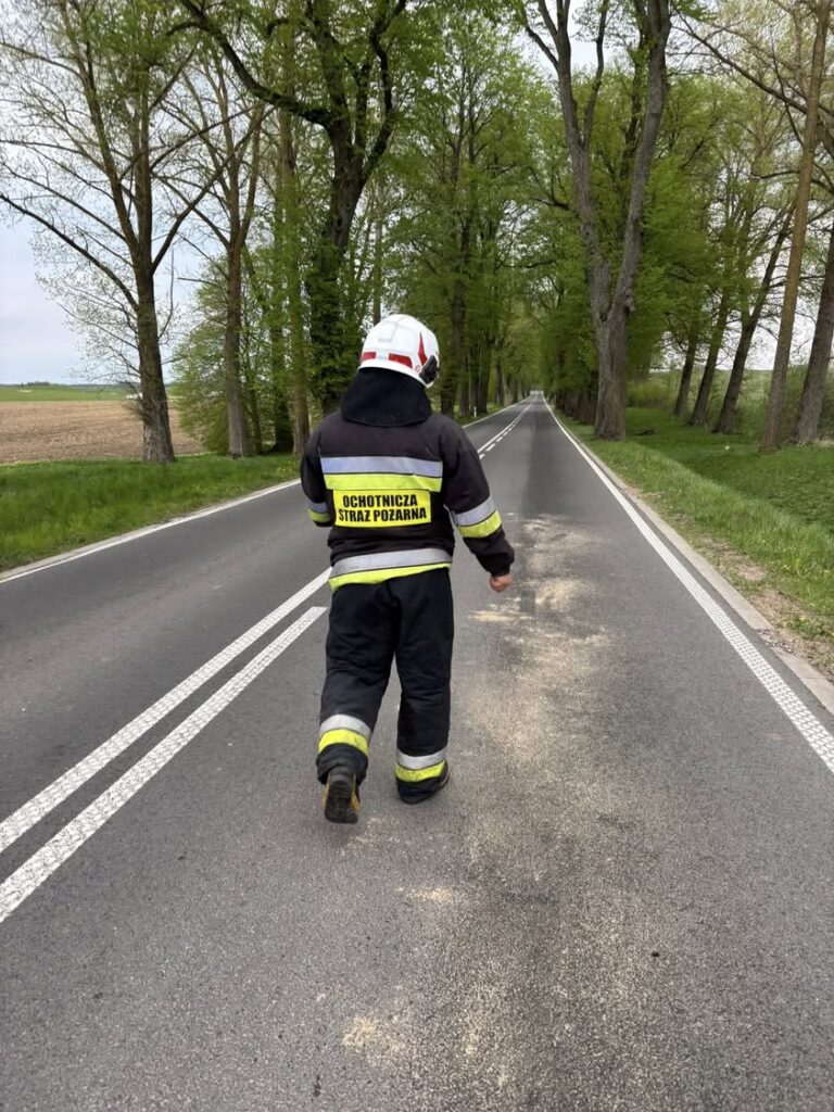 Plama ropopochodna na drodze wojewódzkiej nr 650 w okolicach Dąbrówki Polskiej