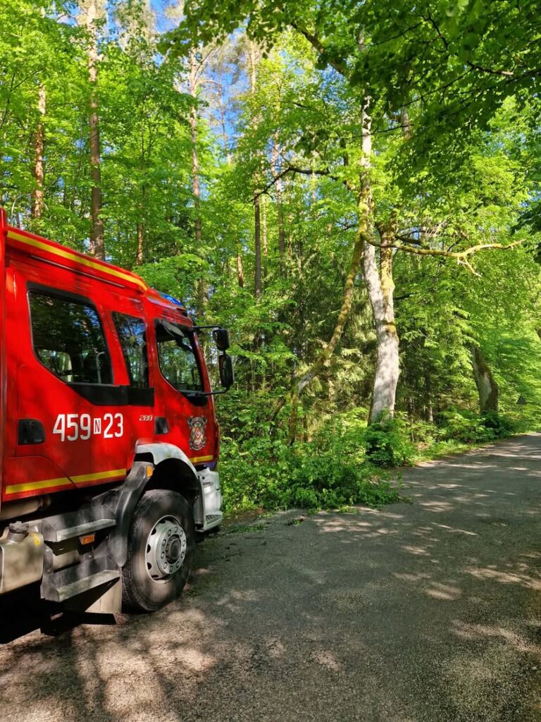 Interwencja OSP Banie Mazurskie przy konarze drzewa nad drogą powiatową w kierunku Rapy