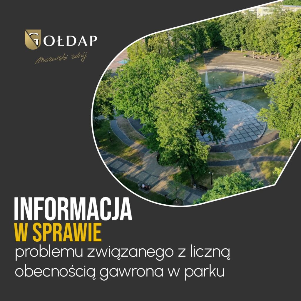 Gawrony w Gołdapi: gmina szuka rozwiązania problemu hałasu i zanieczyszczeń w parku miejskim