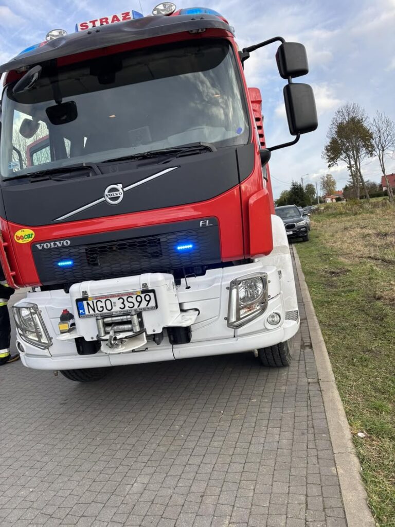 Usunięcie gniazda owadów błonkoskrzydłych w Baniach Mazurskich