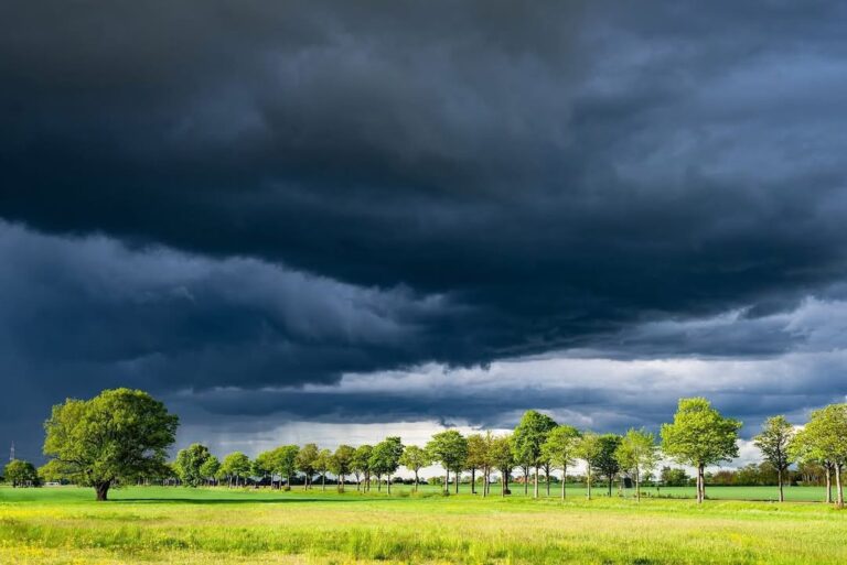 Ostrzeżenie meteorologiczne na 8 lipca: deszcz i burze w regionie