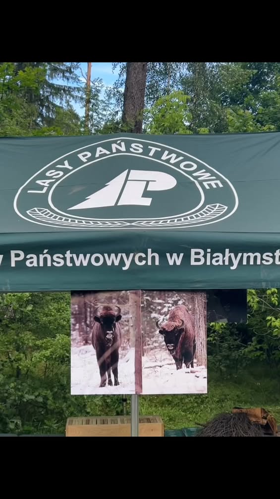 Wytrop Żubra na szlaku w Gołdapi: drugi dzień festiwalu Odetchnij Na Zdrowie
