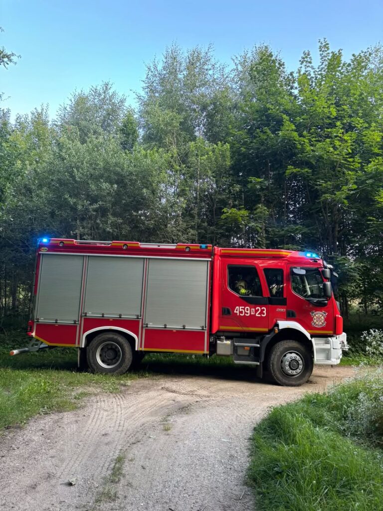 Usunięcie gniazda pszczół w domku dla dzieci w Ściborkach