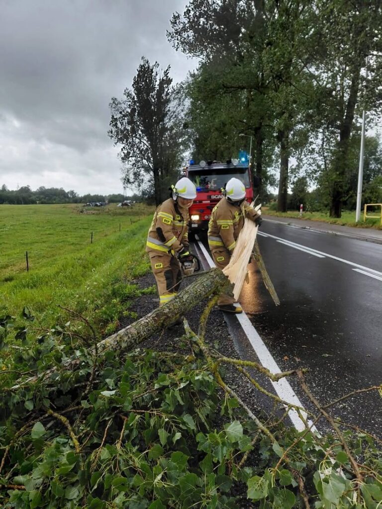 Trudne warunki atmosferyczne w regionie – powalone drzewa i przerwy w dostawach energii