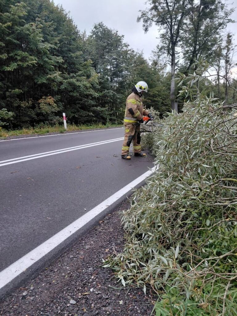 Powalone drzewo blokowało drogę wojewódzką nr 650 w okolicach Surmin i Boćwinki