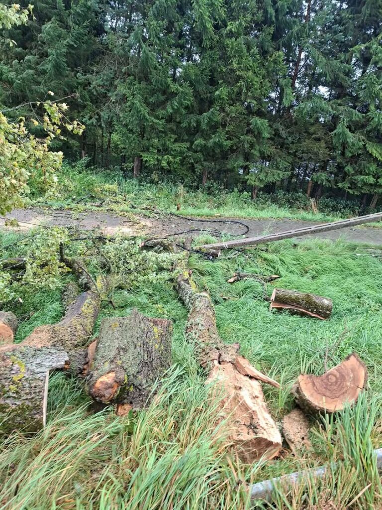 Alarm OSP Banie Mazurskie: Zerwana linia niskiego napięcia w Baniach Mazurskich