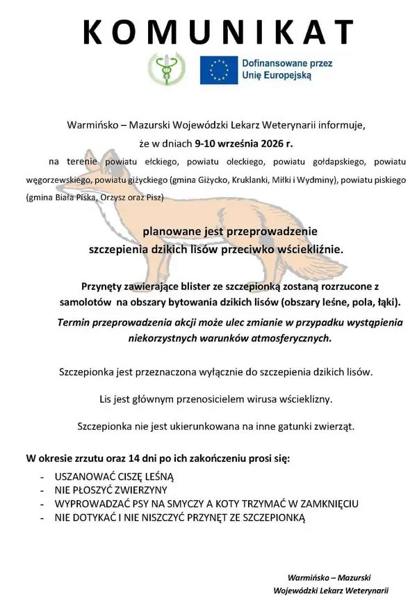 Szczepienie dzikich lisów przeciwko wściekliźnie w powiecie gołdapskim i okolicznych regionach